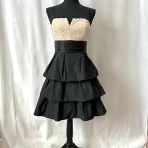 BCBGMaxAzria Taffeta Tiered Mini Dress with Chiffon Top A line Size 4